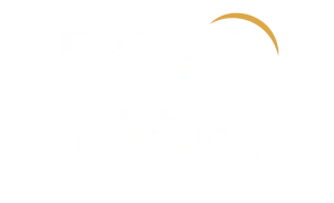 Agence Midnight - Influence Marketing